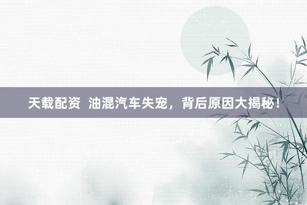 天载配资  油混汽车失宠，背后原因大揭秘！