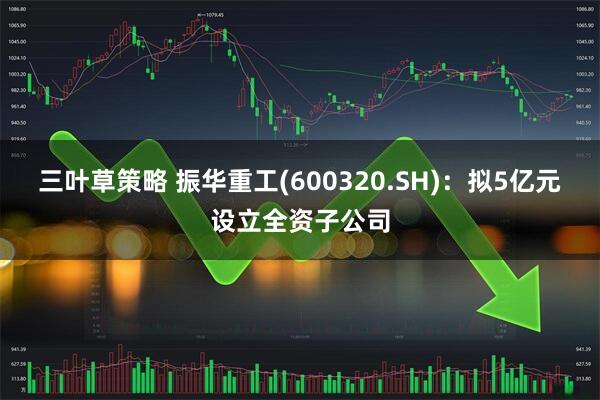 三叶草策略 振华重工(600320.SH)：拟5亿元设立全资子公司