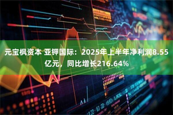 元宝枫资本 亚钾国际：2025年上半年净利润8.55亿元，同比增长216.64%