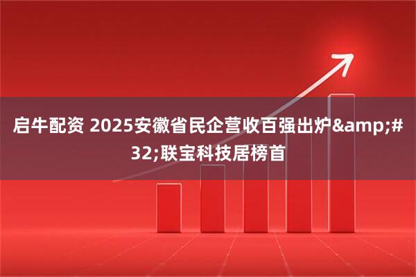 启牛配资 2025安徽省民企营收百强出炉 联宝科技居榜首