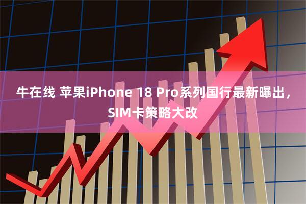 牛在线 苹果iPhone 18 Pro系列国行最新曝出，SIM卡策略大改